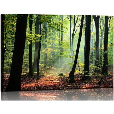 Nature Wall Art Forest Art Canvas