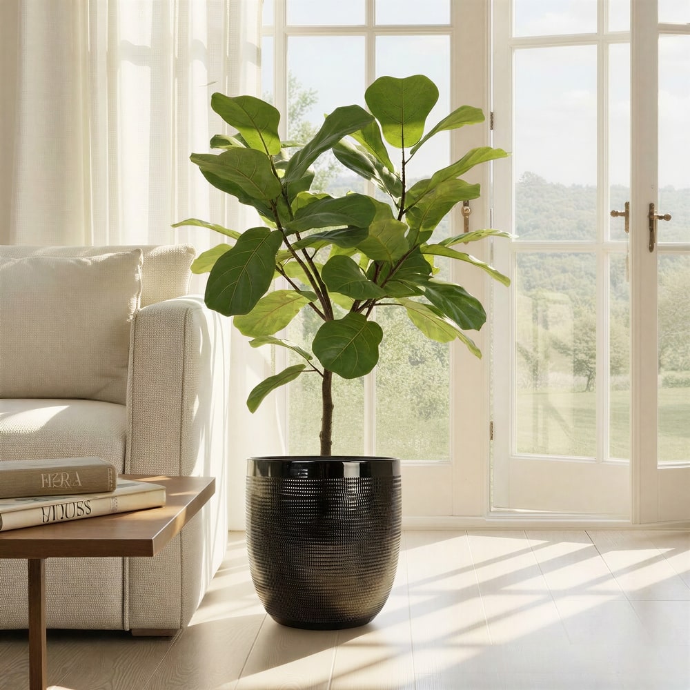 Textured Stoneware Planter, Black