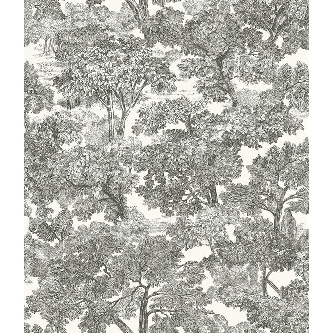 Chesapeake Spinney Black Toile Wallpaper - 20.5in x 396in x 0.025in