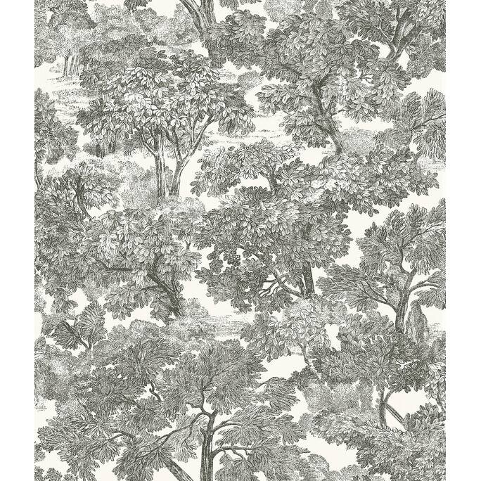 Chesapeake Spinney Black Toile Wallpaper - 20.5in x 396in x 0.025in