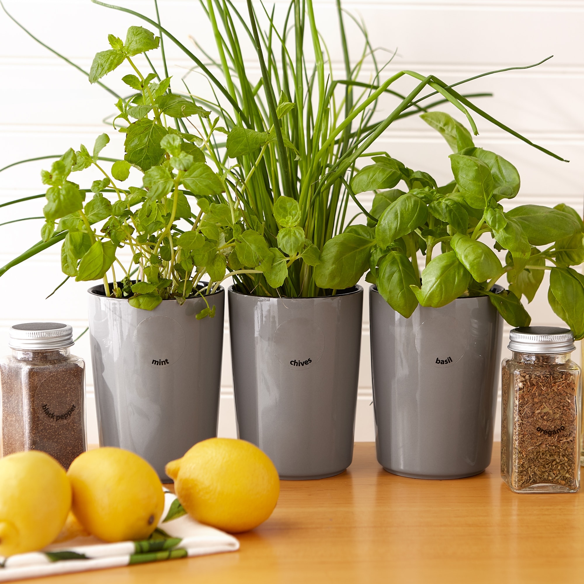 Spice jar labels shop bed bath and beyond