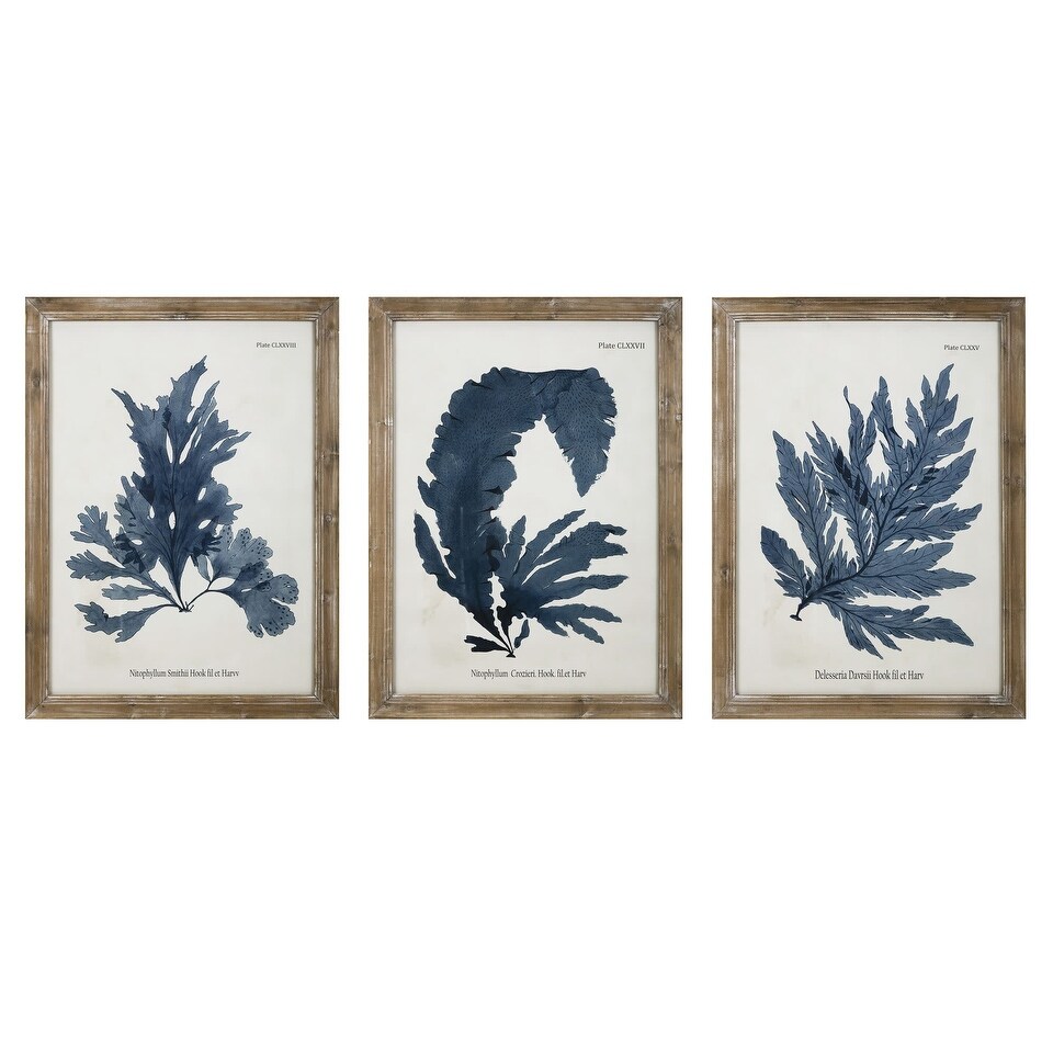 Shop Imax Home A0319223 Lucia Three Panel Wood Framed Botanical