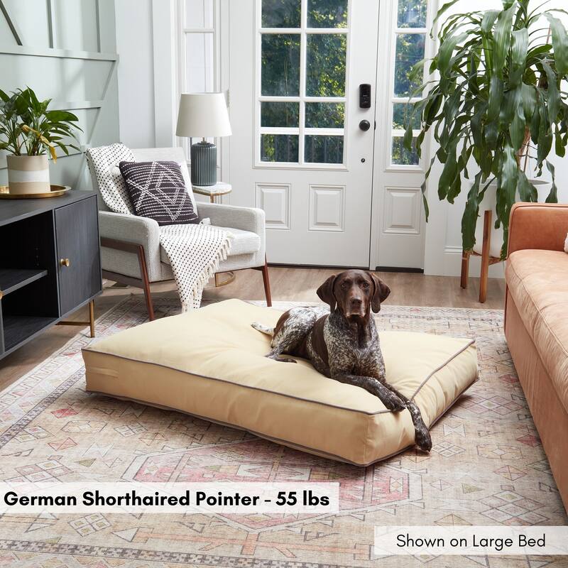 Buster Buttercream Pillow Dog Bed