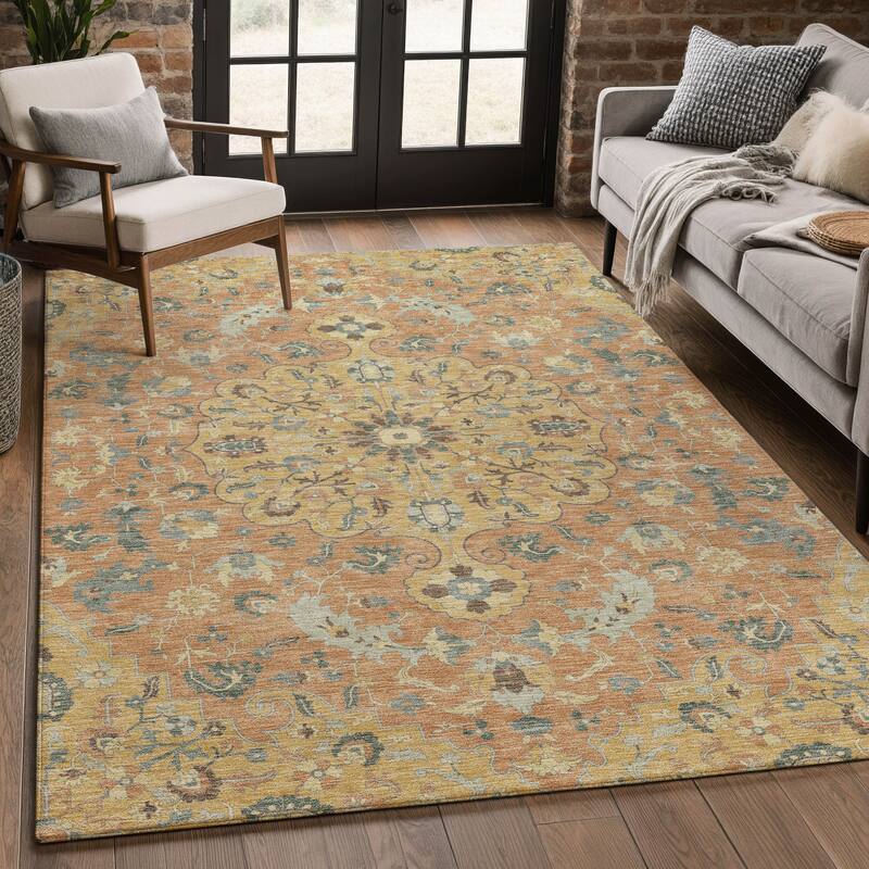 Machine Washable Indoor/ Outdoor Traditional Indore Chantille Rug