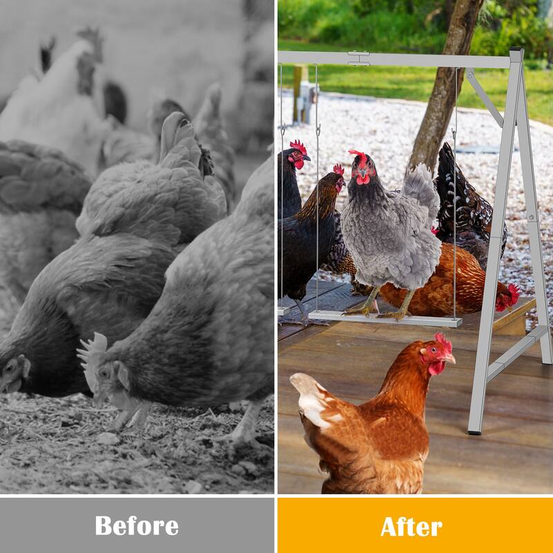 Chicken Perches with Swing, Chicken Roosting Bars for Coop Accessories - Grey