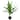 3-foot Artificial Dracaena in Pot