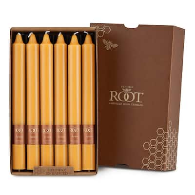 Root 9 inch Unscented Smooth Arista Taper Candles box of 12