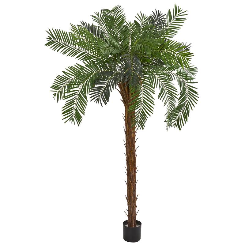 7ft Artificial Palm Tree - Coastal Craftsman Tree with Brown Trunk & Green Leaves - Large Room Decor - 51-60 Inches