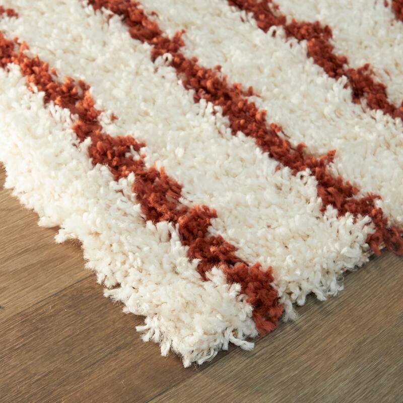 Janus Contemporary Berber Shag Area Rug