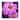 Symposium Design 'Plum Daises III' Canvas Art