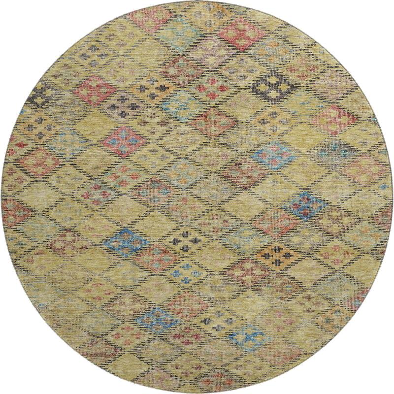 Premium Washable Super Soft Global Boho Mayfield Rug