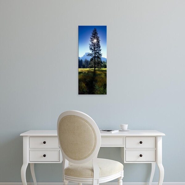 Easy Art Prints Panoramic Images's 'Sun Behind Pine Tree, Half Dome, Yosemite Valley, California, USA' Canvas Art