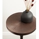 preview thumbnail 13 of 38, Kate and Laurel Engles Metal Table and Plant Stand