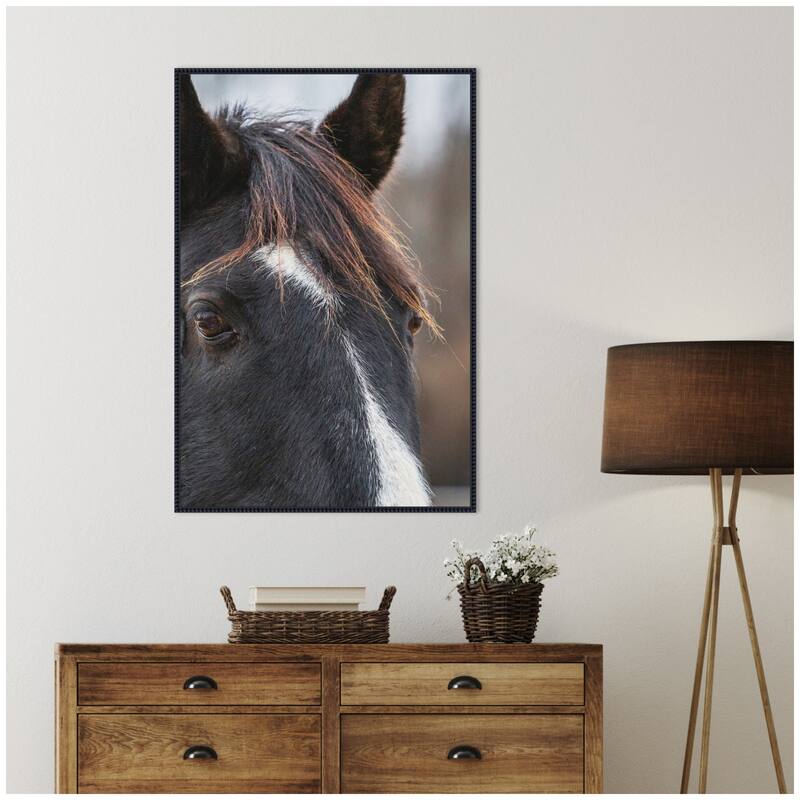 Kate and Laurel Black and White Horse by Emiko and Mark Franzen F2 Images Framed Canvas Wall Art Print