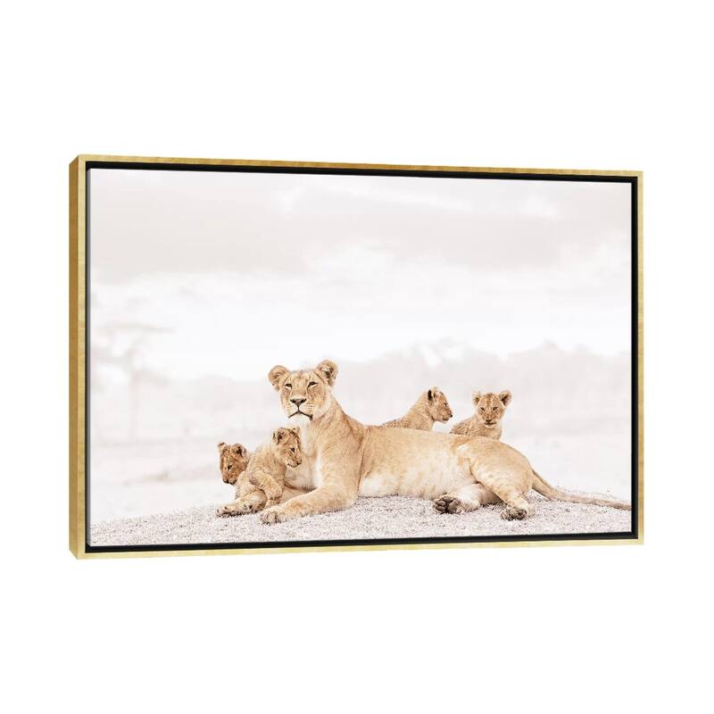 iCanvas "White Lioness & Cubs" by Klaus Tiedge Framed Canvas Print - Gold - 18x26