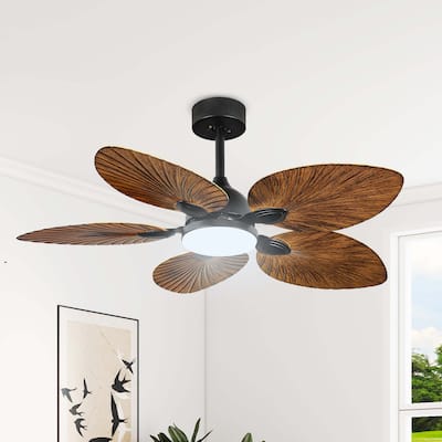 Moasis 42 Inch 5 Blades Tropical Palm Ceiling Fans with Lights and Remote Control