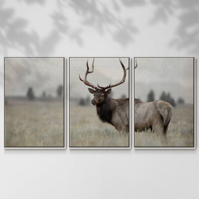 Grand Elk - Multi Piece Framed Canvas