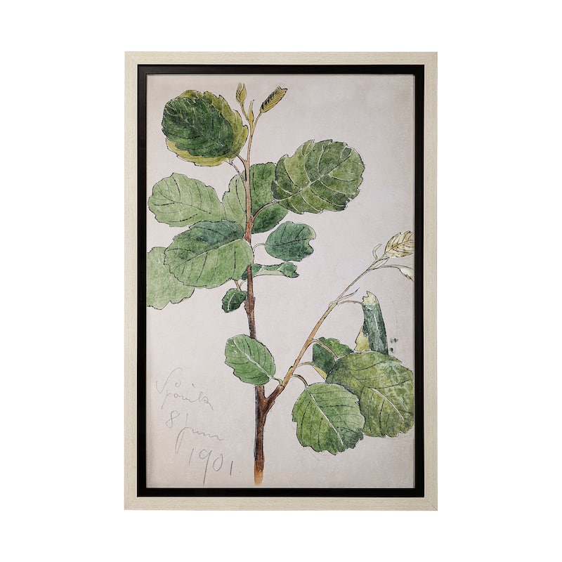 Bald Akvarellmalning Framed Art Print
