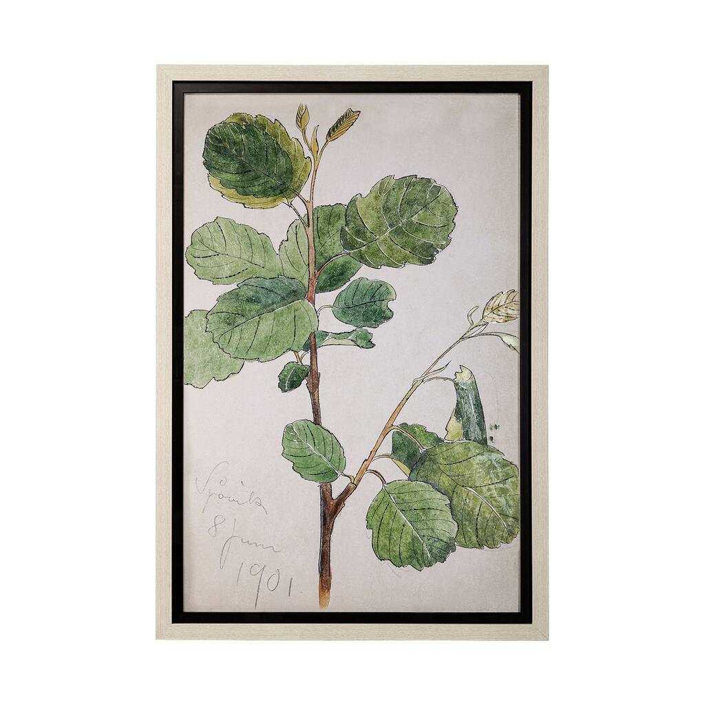 Bald Akvarellmalning Framed Art Print
