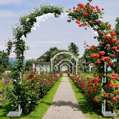 Outdoor Metal Garden Arch Trellis Pergola Wedding Stand