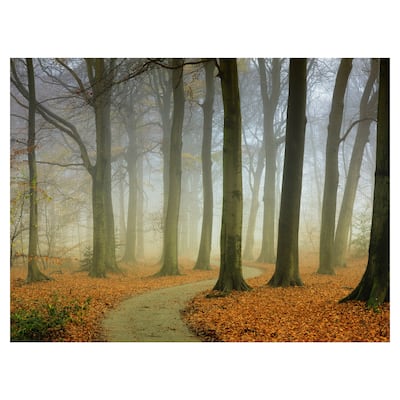 Misty Twisty by Lars Van de Goor Canvas Art Print
