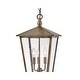 preview thumbnail 3 of 1, Hinkley Huntersfield Medium Hanging Lantern
