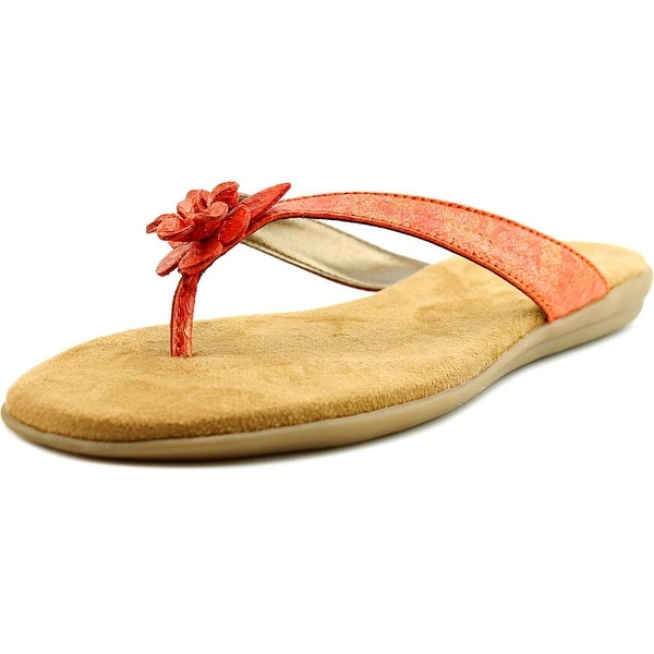 Aerosoles Branchlet Open Toe Synthetic Flip Flop Sandal