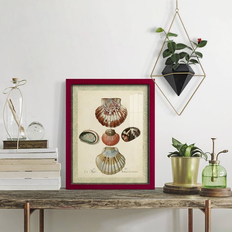 Bookplate Shells III -Framed Print w/glass-Cherry Red