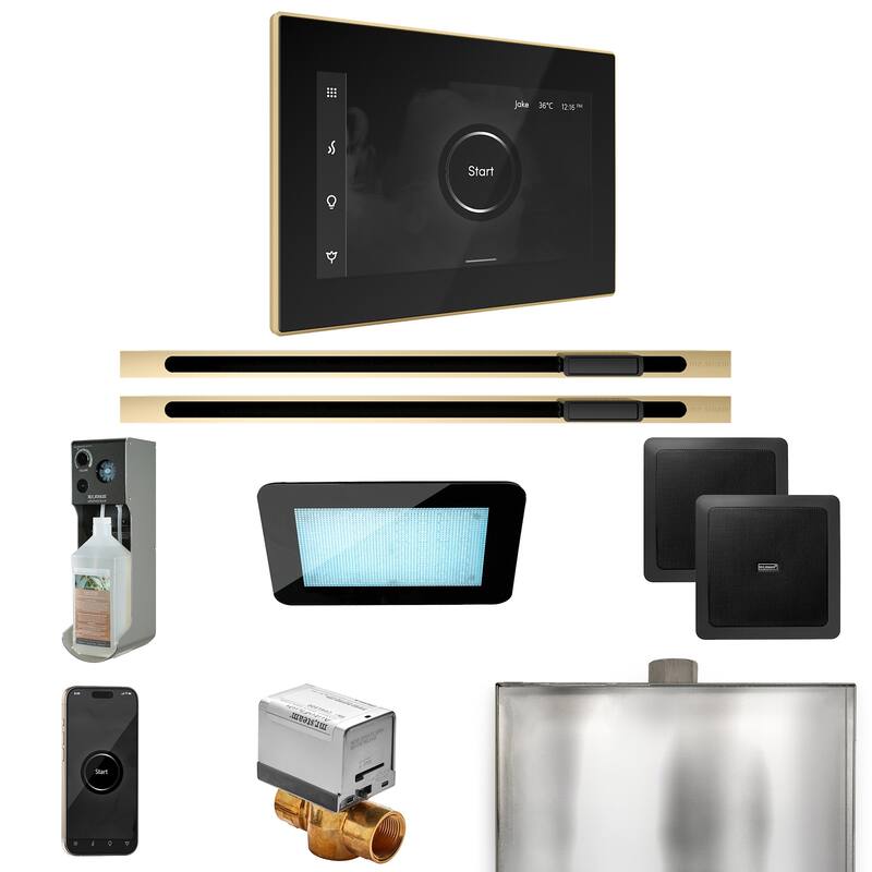 Mr Steam XDRM2XL Xdream Max Linear Package Steam Shower Control - Black / Polished Brass