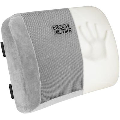 Mount-It! Lumbar Support Back Pillow Office Chair