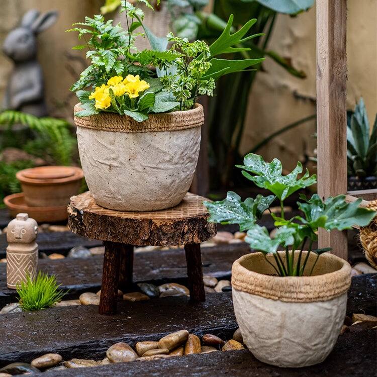RusticReach Rattan Pattern Edge Cement Planter