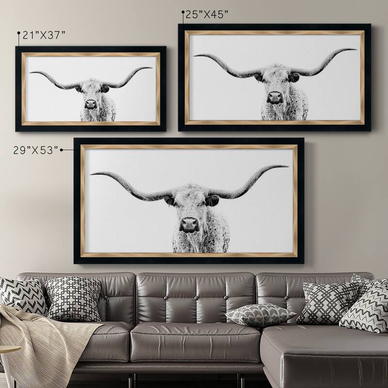 Longhorn Gaze Premium Framed Canvas- Ready to Hang