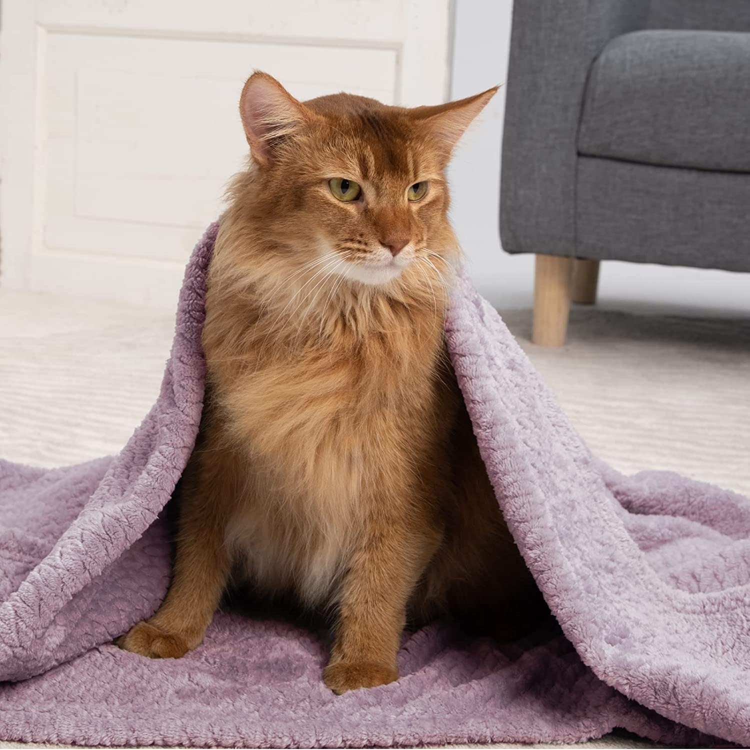 Newcosplay blanket clearance