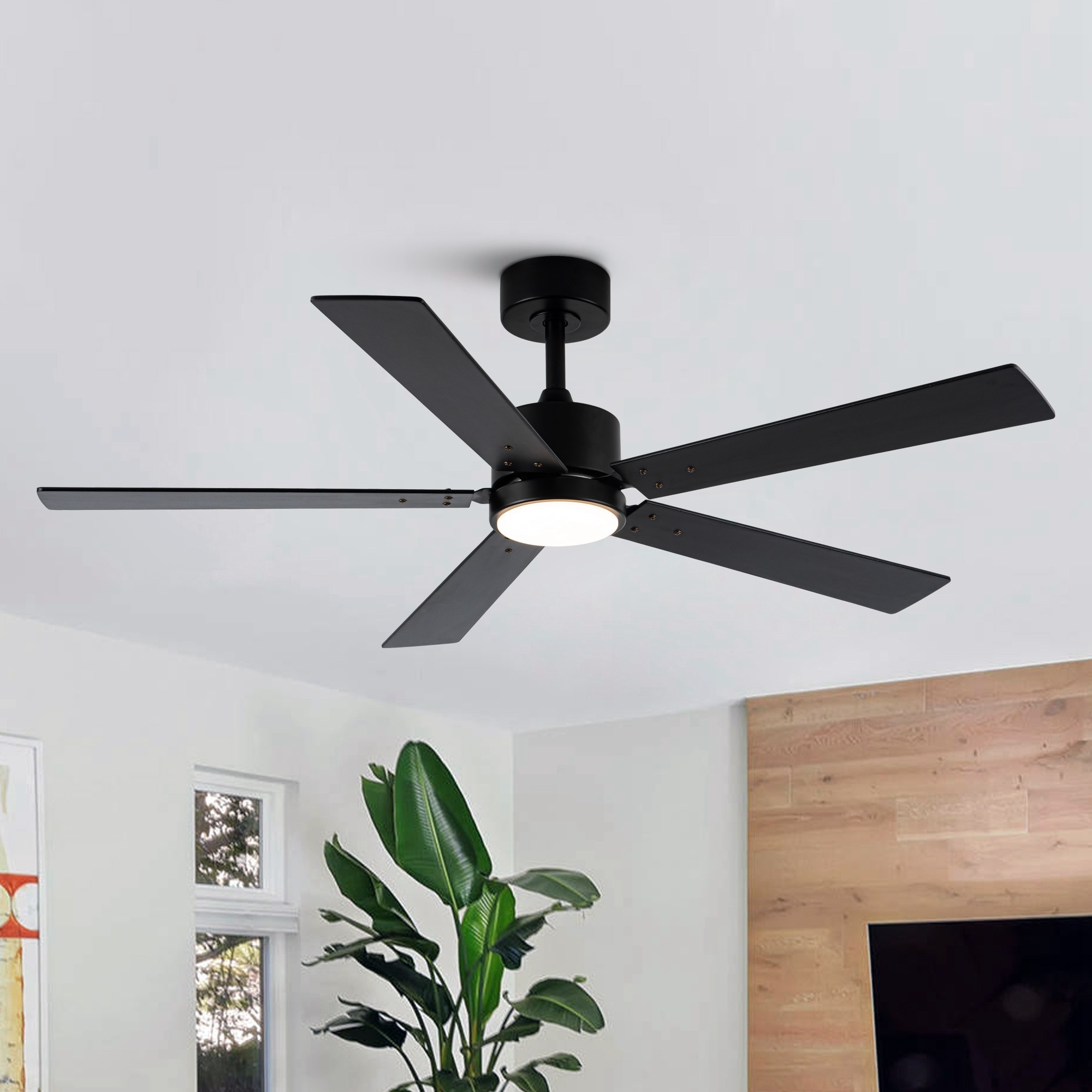 Vaczon 52" Modern Black Wood 5-blade Smart Ceiling Fan with Light and APP Control