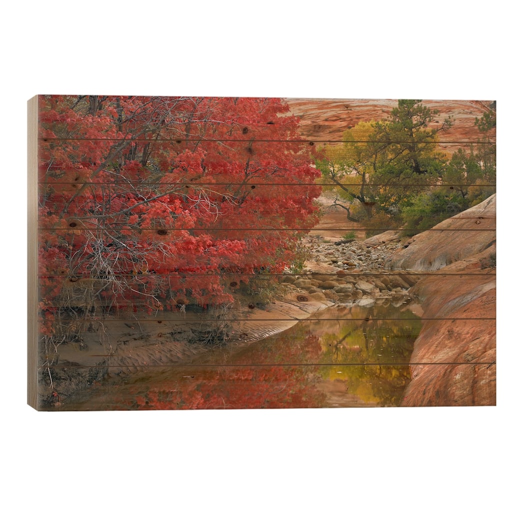 Maple And Cottonwood Autumn Foliage, Zion National Park, Utah II Print On Wood by Tim Fitzharris - Multi-Color