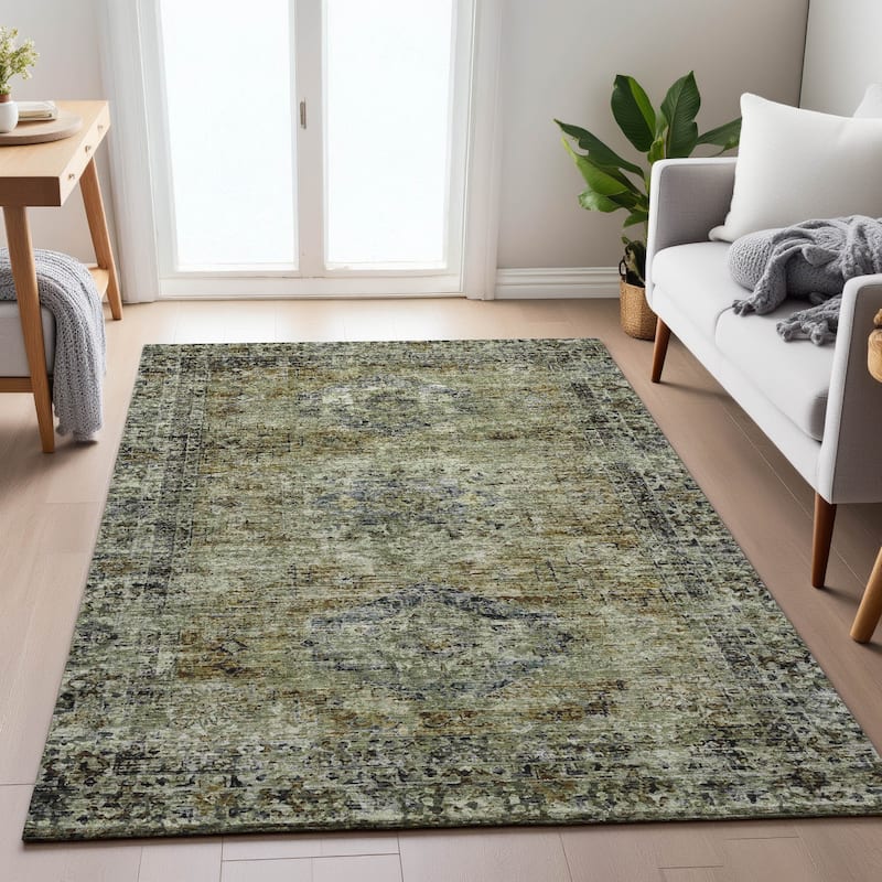 Machine Washable Indoor/Outdoor Vintage Traditional Chantille Rug