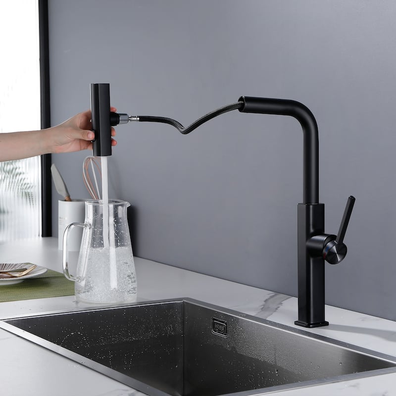 Single Handle Kitchen Faucet with Pull Out Sprayer Single Hole Brass Pull Out Kitchen Sink Faucets Matte Black