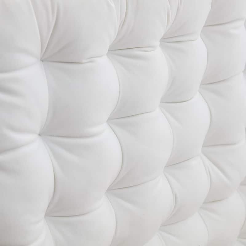 Rainha® Cushion Tufted College Headboard by DormCo