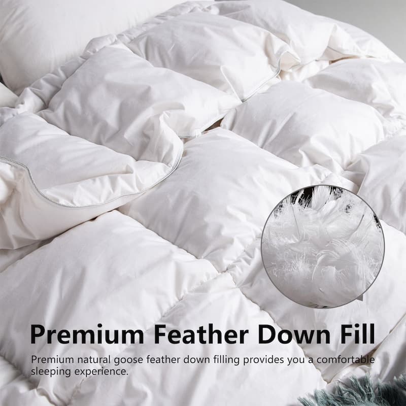 KASENTEX Cotton Cover Down Comforter - Duvet Insert - All Season