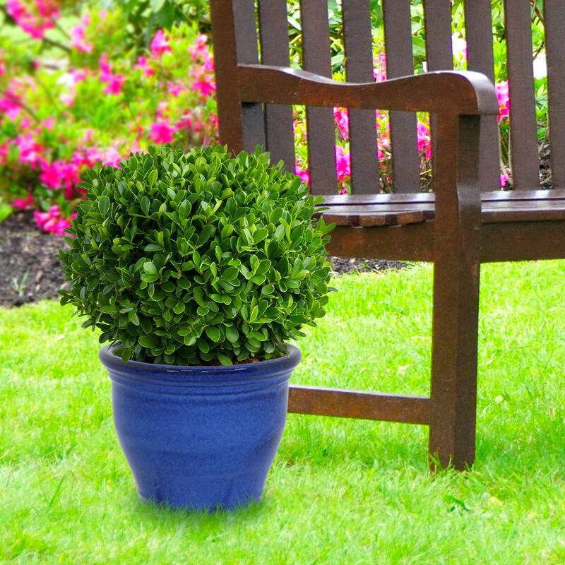 Sunnydaze Studio Round Glazed Ceramic Planter with Drainage - 15" - Imperial Blue - 15-Inch