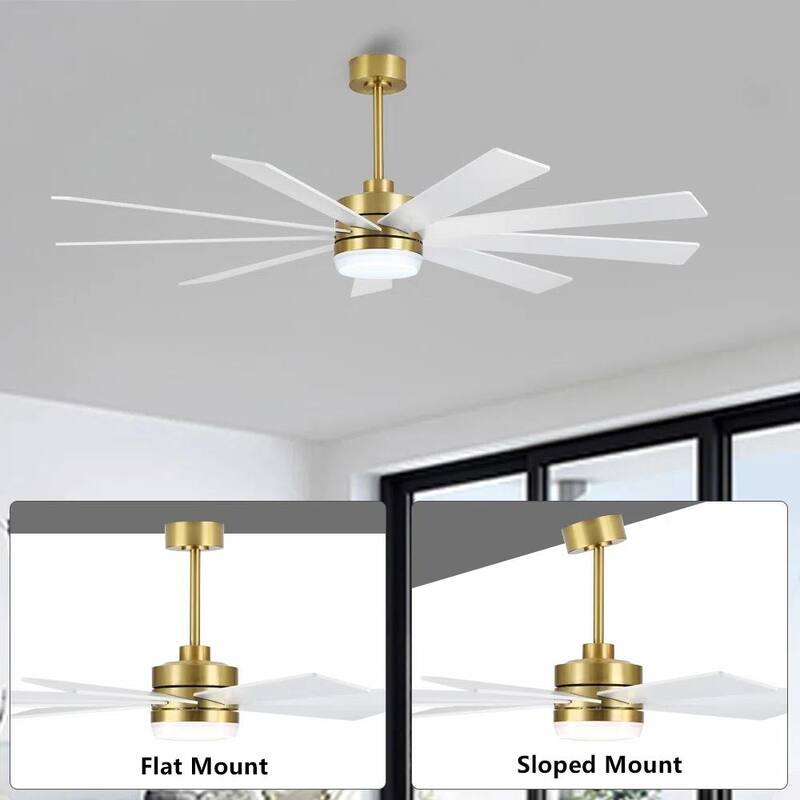 MLiAN DC Motor Indoor Ceiling Fan with Light and Remote