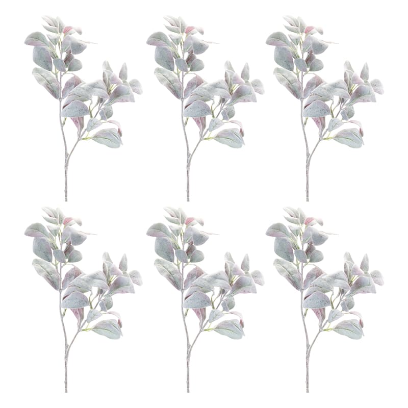 Lamb's Ear Leaf Bush (Set of 6)