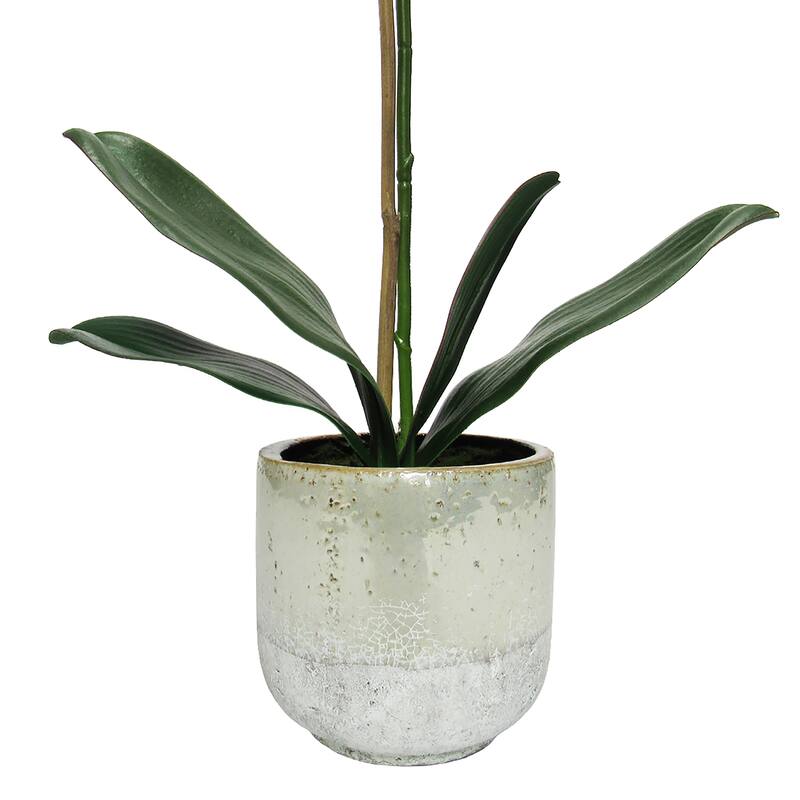 White Artificial Phalaenopsis Orchid Flower Arrangement in Half Glazed Ceramic Pot 22in - 22" H x 9" W x 6.5" DP