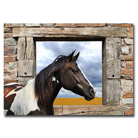 Painted Horse by Julian Lauren Gallery Wrapped Canvas Giclee Art (24 in x 32 in)