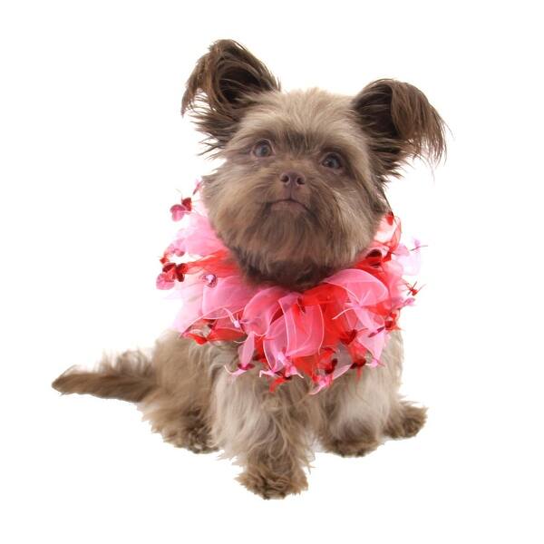 Shop Valentine S Day Dog Scrunchy Red Large 14 Overstock