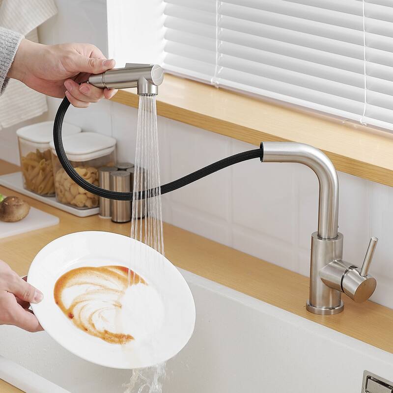 Kitchen Faucet with Pull Down Sprayer