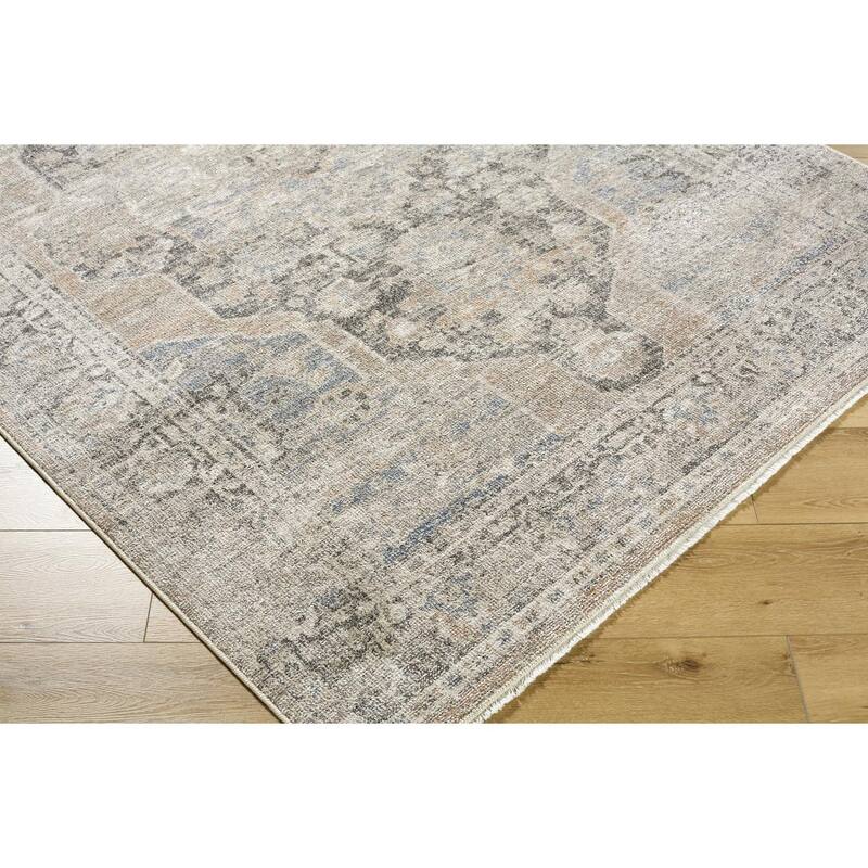 Galey Alix x Livabliss Maria Elena IV Vintage Medallion Area Rug