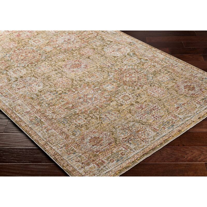 Aiyla Traditional Medallion Area Rug