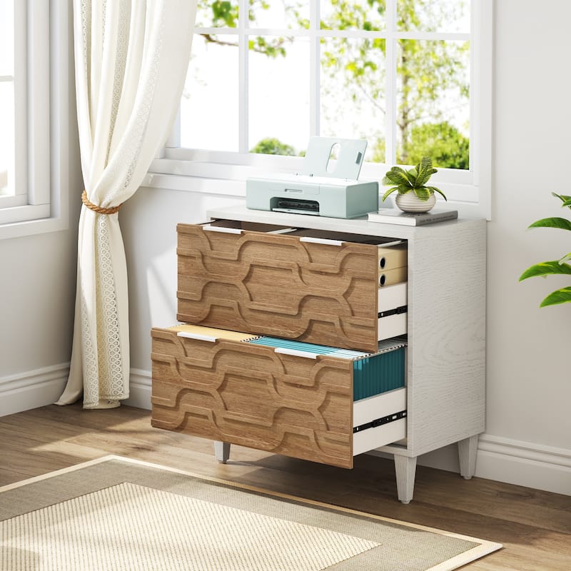 2 Drawer File Cabinet for Home Office, Filling Cabinet for A4/Letter/Legal Size