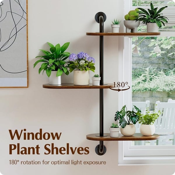 brasil philodendron for sale Philodendron Brasil | Easy Indoor Live Potted Houseplant